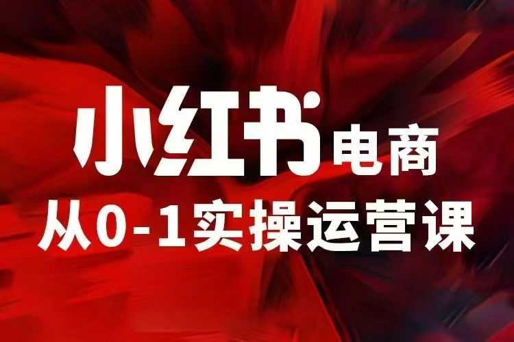 小红书电商运营，97节小红书vip内部课，带你实现小红书赚钱-天韵资源网