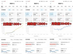 拼多多虚拟店铺项目,电脑挂机自动发货,单店日利润300+-天韵资源网