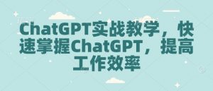 ChatGPT实战教学，快速掌握ChatGPT，提高工作效率-天韵资源网