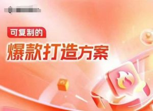 天猫电商爆款运营，可复制的爆款打造方案(线下内训课录音+字幕)-天韵资源网