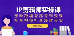 IP剪辑师实操课：涨粉跑模型起号到变现，挂车视频打造爆款带货-天韵资源网