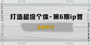 打造 超级个体-第6期ip营：商业认知,产品设计,成交演练,解决知识变现难题-天韵资源网