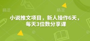 小说推文项目,新人操作6天,每天3位数分享课-天韵资源网