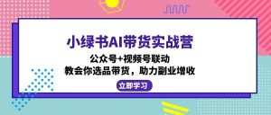 小绿书AI带货实战营:公众号+视频号联动,教会你选品带货,助力副业增收-天韵资源网
