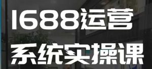 1688高阶运营系统实操课，快速掌握1688店铺运营的核心玩法-天韵资源网
