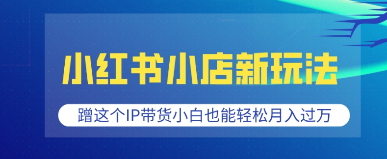小红书小店新玩法，蹭这个IP带货，小白也能轻松月入过W【揭秘】-天韵资源网