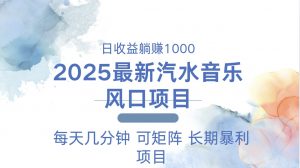2025最新汽水音乐躺赚项目 每天几分钟 日入1000＋-天韵资源网