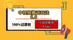 中视频搬运玩法6.0，利用软件双重去重，100%过原创，小白也能月入5w+-天韵资源网