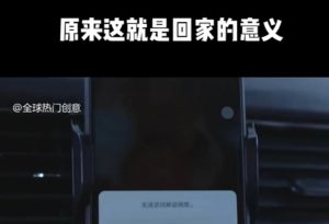 利用春节风口，制作热点视频，多种玩法类型，新手也能轻松变现！-天韵资源网