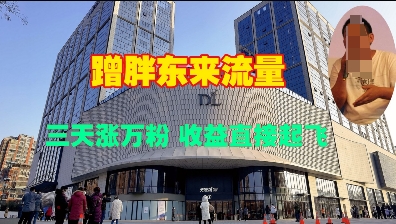 蹭胖东来流量，三天涨万粉，收益直接起飞-天韵资源网