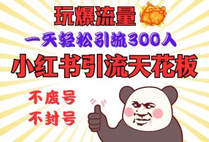 小红书引流天花板，玩爆流量，一天轻松引流300人，安全操作-天韵资源网