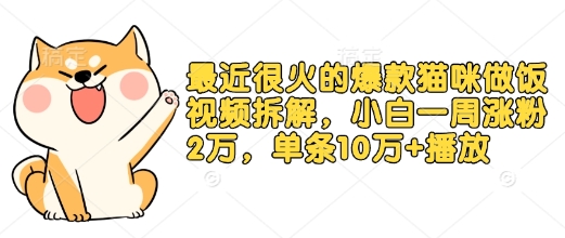 最近很火的爆款猫咪做饭视频拆解，小白一周涨粉2万，单条10万+播放(附保姆级教程)-天韵资源网