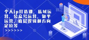 个人ip打造课，私域运营，公众号运营，知乎运营，底层逻辑和方向定位等-天韵资源网