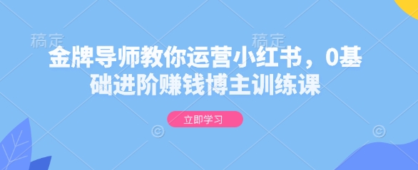 金牌导师教你运营小红书，0基础进阶赚钱博主训练课-天韵资源网