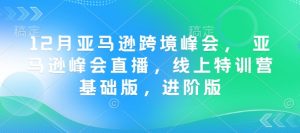 12月亚马逊跨境峰会， 亚马逊峰会直播，线上特训营基础版，进阶版-天韵资源网
