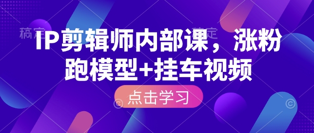 IP剪辑师内部课，涨粉跑模型+挂车视频-天韵资源网