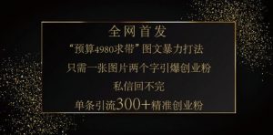 小红书神奇图片引流法，只需一张图，就能单条笔记凭借此方法，轻松引流 300 + 精准创业粉-天韵资源网