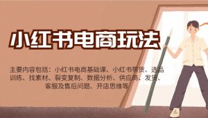 小红书电商玩法：带货/选品/找素材/裂变/数据分析/供应商/发货/售后/开店思维等-天韵资源网