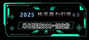 2025年快手6.0保姆级教程震撼来袭，单日狂吸300+精准创业粉-天韵资源网