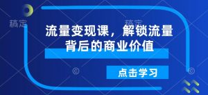 流量变现课,解锁流量背后的商业价值-天韵资源网