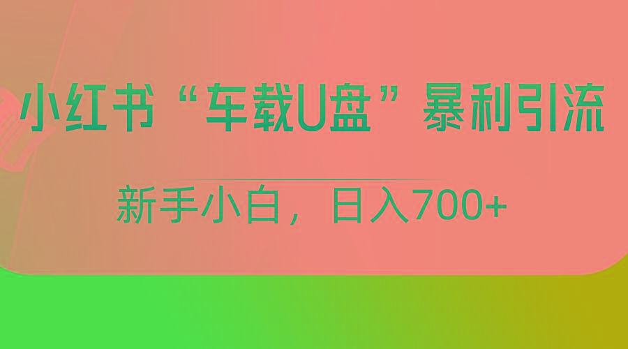 小红书“车载U盘”项目，暴利引流，新手小白轻松日入700+-天韵资源网