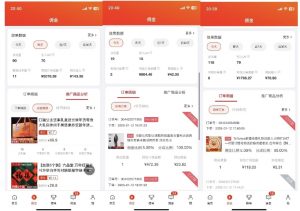 2025最新京东蓝海项目，0 门槛日入 1k+，小白宝妈轻松上手【揭秘】-天韵资源网