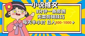 小说推文6.0，简单无脑，3分钟一个原创作品，每天半小时，日入300-1000...-天韵资源网