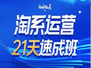 淘系运营21天速成班35期，年前最后一波和2025方向-天韵资源网