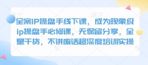 全案IP操盘手线下课,成为现象级ip操盘手必修课,无保留分享,全是干货,不讲废话超深度培训实操-天韵资源网