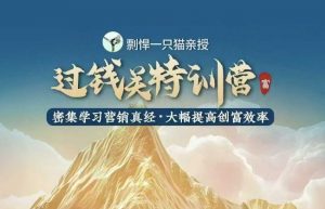 剽悍一只猫-过钱关特训营，学习营销真经 大幅度提高创富效率-天韵资源网