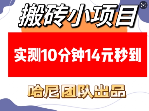 搬砖小项目，实测10分钟14元秒到，每天稳定几张(赠送必看稳定)-天韵资源网