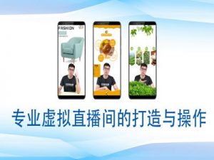 个人虚拟直播间的搭建与操作，专业虚拟直播间的打造与操作-天韵资源网