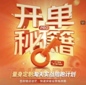 淘宝开单秘籍PRO，量身定制淘天实战陪跑计划，告别做店迷茫、快速突破运营瓶颈期-天韵资源网