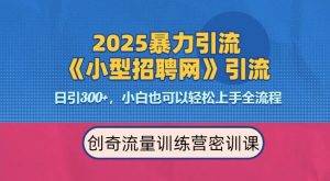 2025最新暴力引流方法，招聘平台一天引流300+，日变现多张，专业人士力荐-天韵资源网