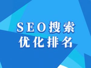 抖音搜索SEO教程，抖音SEO搜索优化排名-天韵资源网