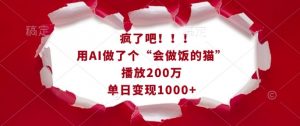 疯了吧！用AI做了个“会做饭的猫”，播放200万，单日变现1k-天韵资源网