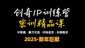 2025年“知识付费IP训练营”小白避坑年赚百万，暴力引流，闪电成交-天韵资源网