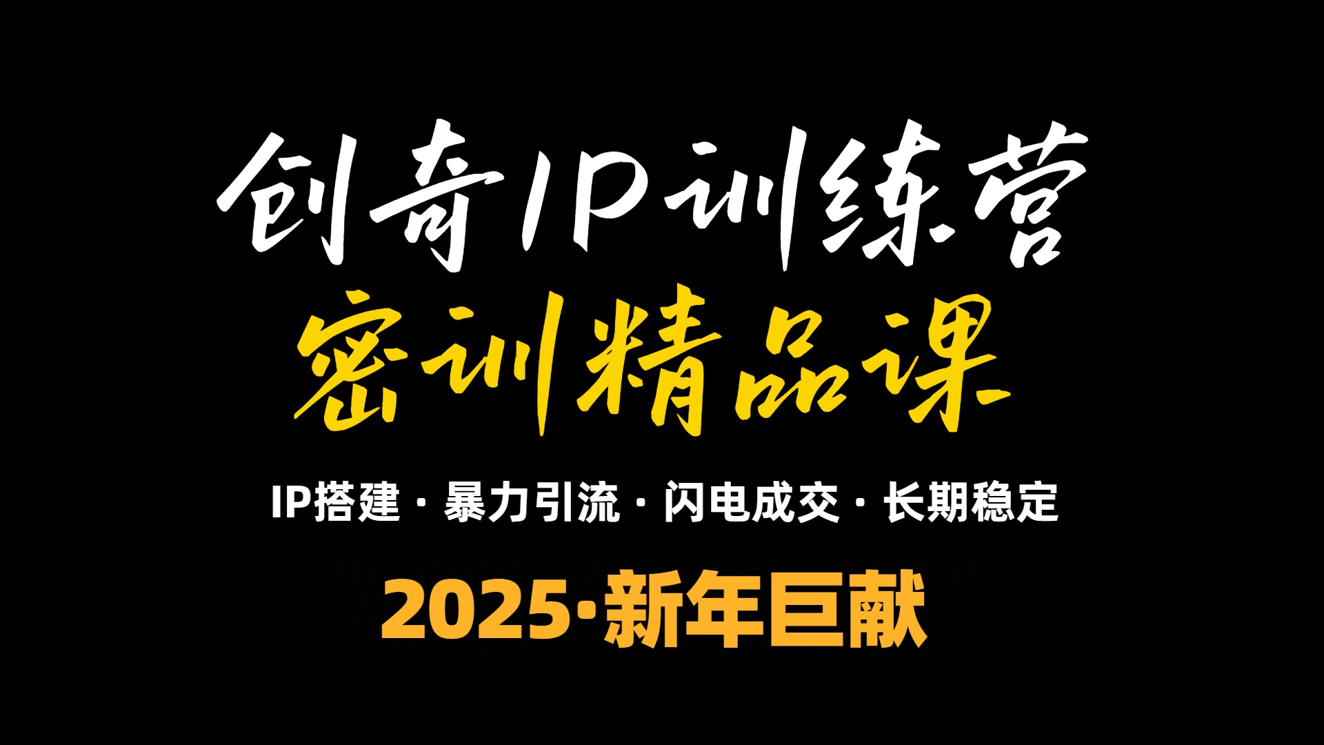 2025年“知识付费IP训练营”小白避坑年赚百万，暴力引流，闪电成交-天韵资源网