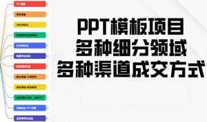 PPT模板项目，多种细分领域，多种渠道成交方式，实操教学-天韵资源网