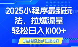 2025年小程序最新玩法，流量直接拉爆，单日稳定变现1000+-天韵资源网