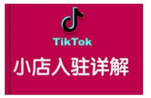 TikTok跨境小店运营全攻略，帮助你独立运营TK跨境小店的能力，实现销量增长-天韵资源网