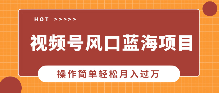 视频号风口蓝海项目，中老年人的流量密码，操作简单轻松月入过万-天韵资源网
