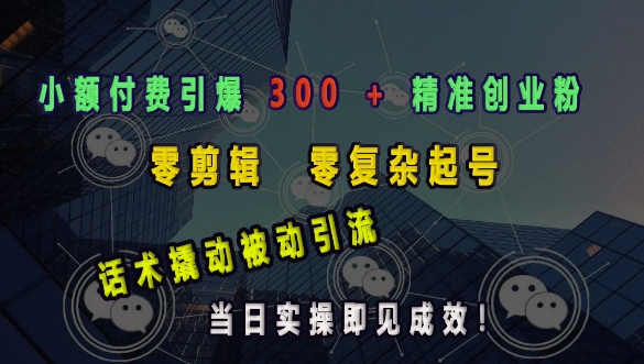 小额付费引爆 300 + 精准创业粉，零剪辑、零复杂起号，话术撬动被动引流，当日实操即见成效-天韵资源网