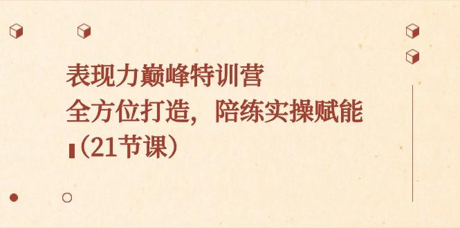 表现力巅峰特训营，全方位打造，陪练实操赋能（21节课）-天韵资源网