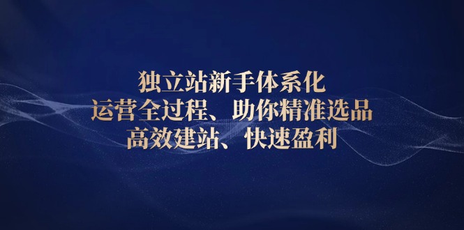 独立站新手体系化 运营全过程，助你精准选品、高效建站、快速盈利-天韵资源网