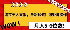 淘宝无人直播，全新起航！可矩阵操作，月入5-6位数！-天韵资源网