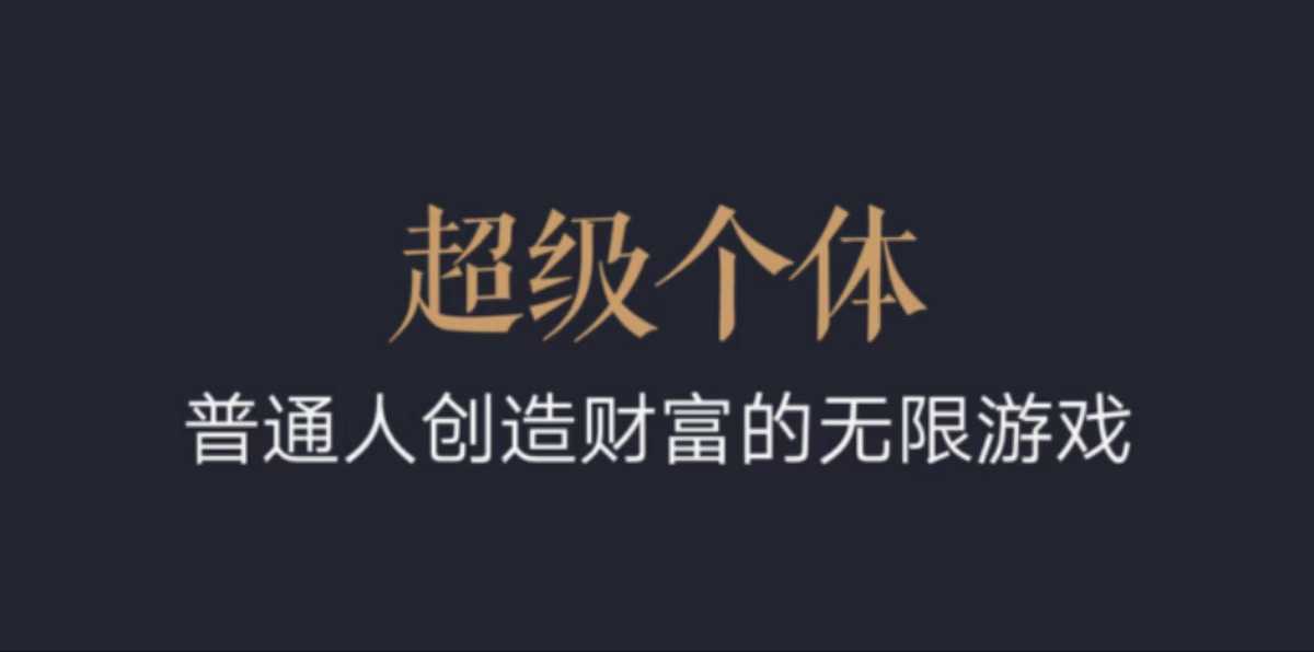超级个体：2024-2025翻盘指南，普通人创造财富的无限游戏-天韵资源网