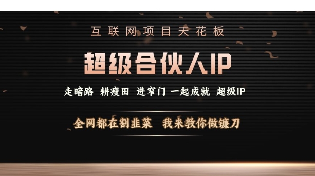 互联网项目天花板，超级合伙人IP，全网都在割韭菜，我来教你做镰刀【仅揭秘】-天韵资源网