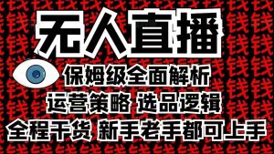 2025无人直播这么做就对了，保姆级全面解析，全程干货，新手老手都可上手-天韵资源网