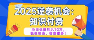2025逆袭项目——知识付费，小白也能月入10万年入百万，抓住机会彻底翻...-天韵资源网